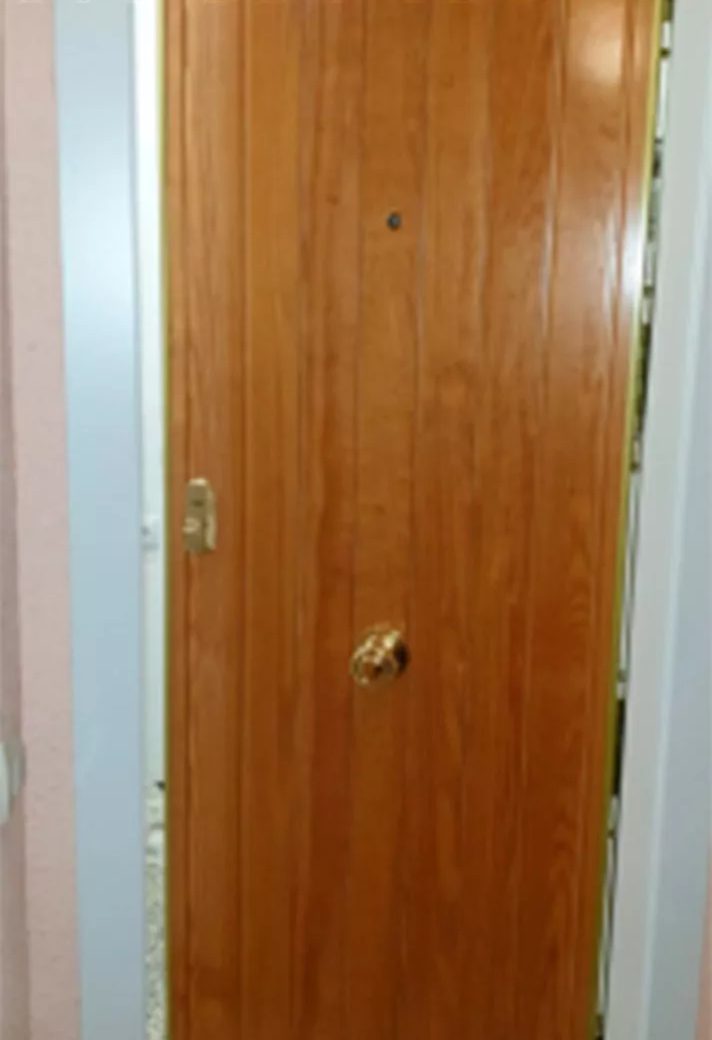 Puerta de alta seguridad